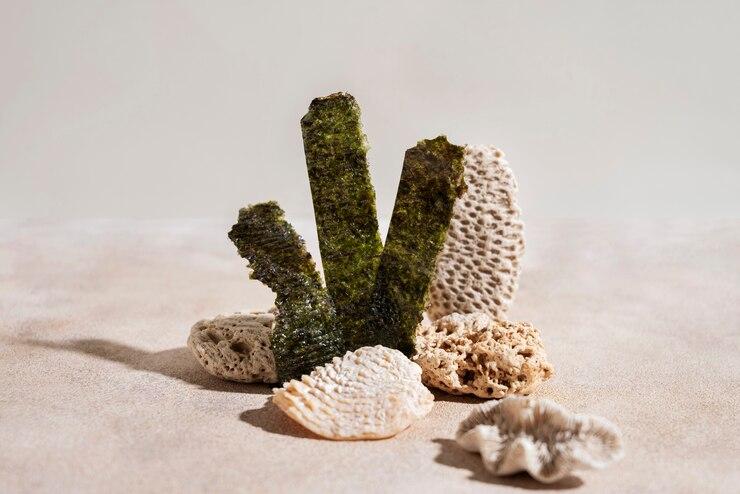 Aquarium accessories