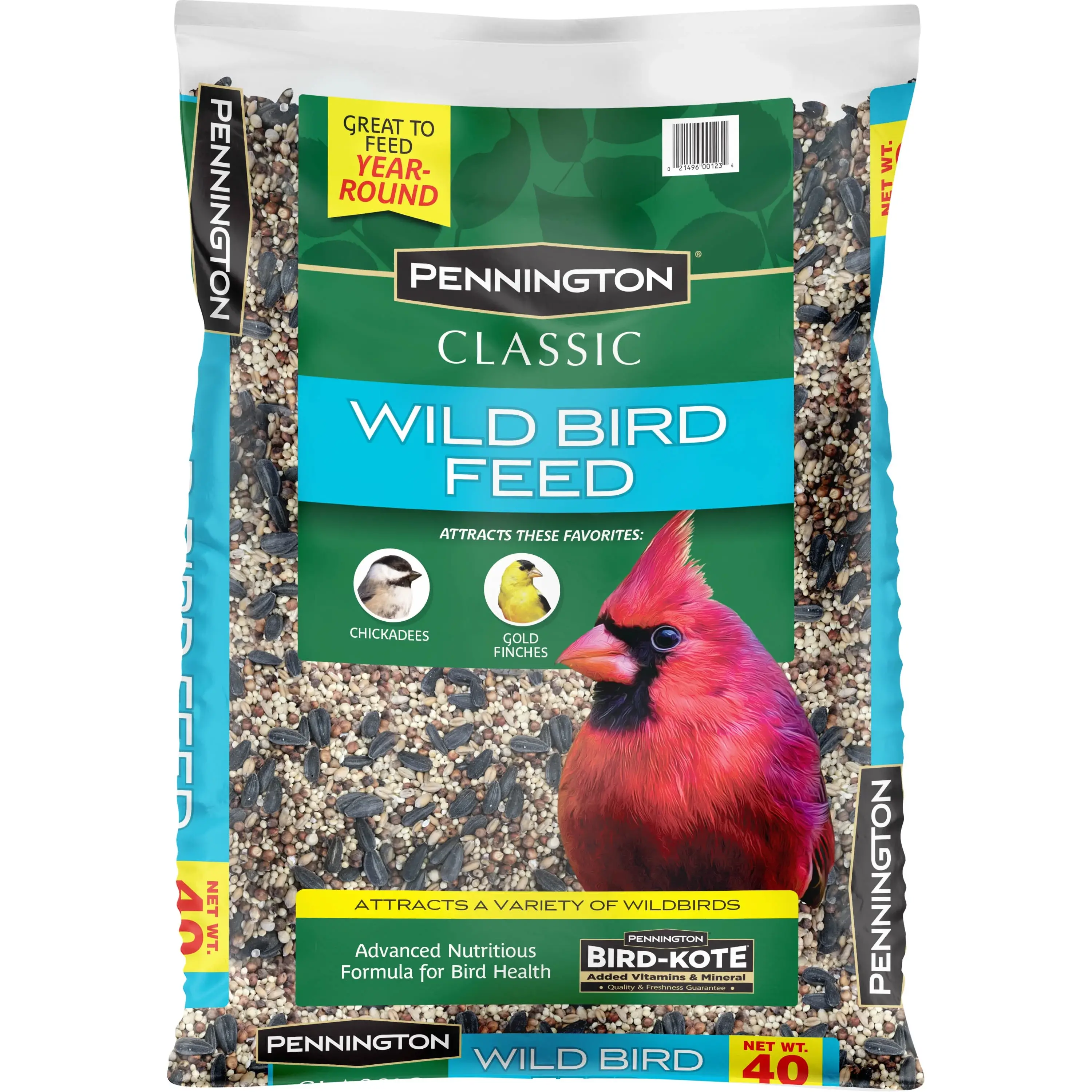Birds food